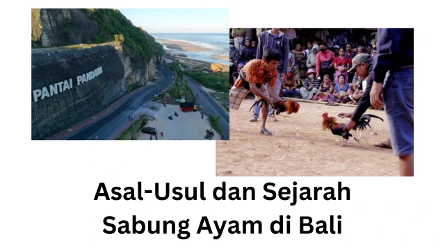 Sabung Ayam di Bali - resepmenusehat.com